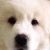 Profile picture of lees ongbi